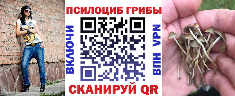 OMG ССЫЛКА  Южа  Галлюциногенные грибы прущие грибы 